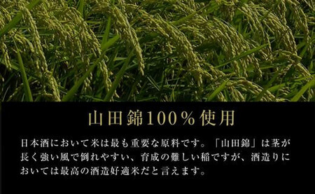 【黄桜】SUPER PREMIUM純米大吟醸750ml