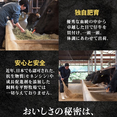 【のし付き】特選和牛〈焼肉薩摩 完熟平野幸一之牛〉ハンバーグ10個【配送不可地域：離島】