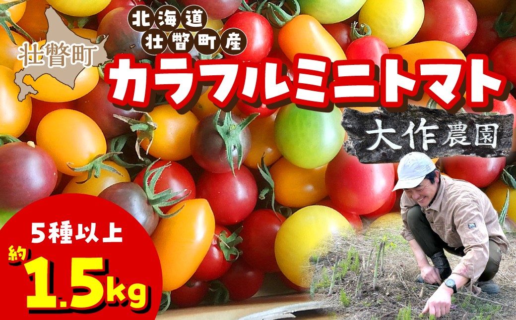 
                  ＜2026年7月上旬よりお届け＞北海道壮瞥産 大作農園のカラフルミニトマト約1.5kg(5種以上) 【 ふるさと納税 人気 おすすめ ランキング トマト とまと ミニトマト アイコ 野菜 おいしい 大容量 北海道 壮瞥町 送料無料 】 SBTR002
                