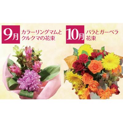ふるさと納税 碧南市 【全4回】季節感じる生花の定期便 (9月〜12月に毎月お届け) 　H092-066 |  | 02