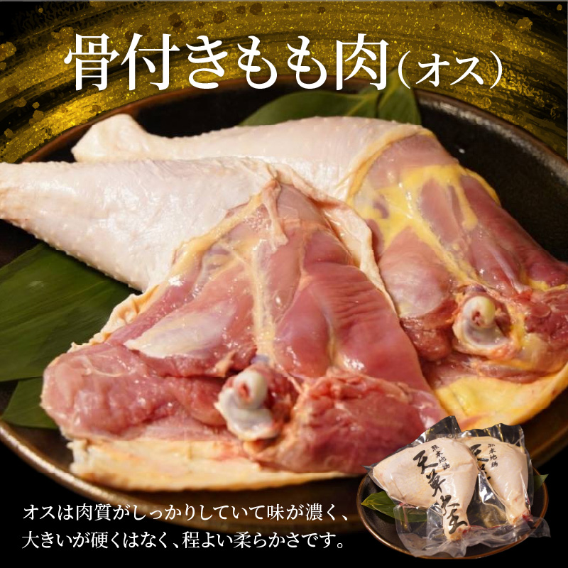 S081-018_天草大王 BBQセット