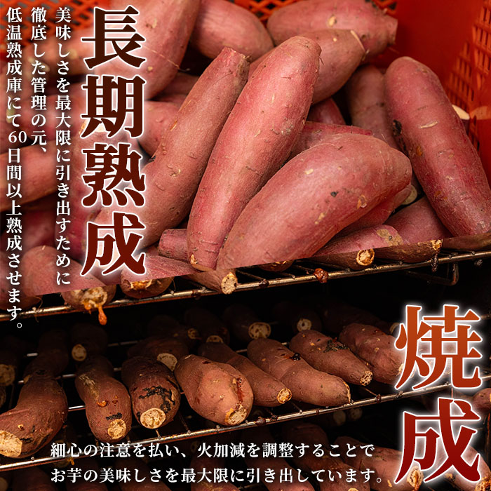 n256 ＜数量限定！先行予約受付中・2024年11月中旬以降順次発送予定＞「鹿児島県産紅はるかの冷凍焼き芋」と「種子島産安納芋の冷凍焼き芋」食べ比べセット(計1kg)【ファーム工房】