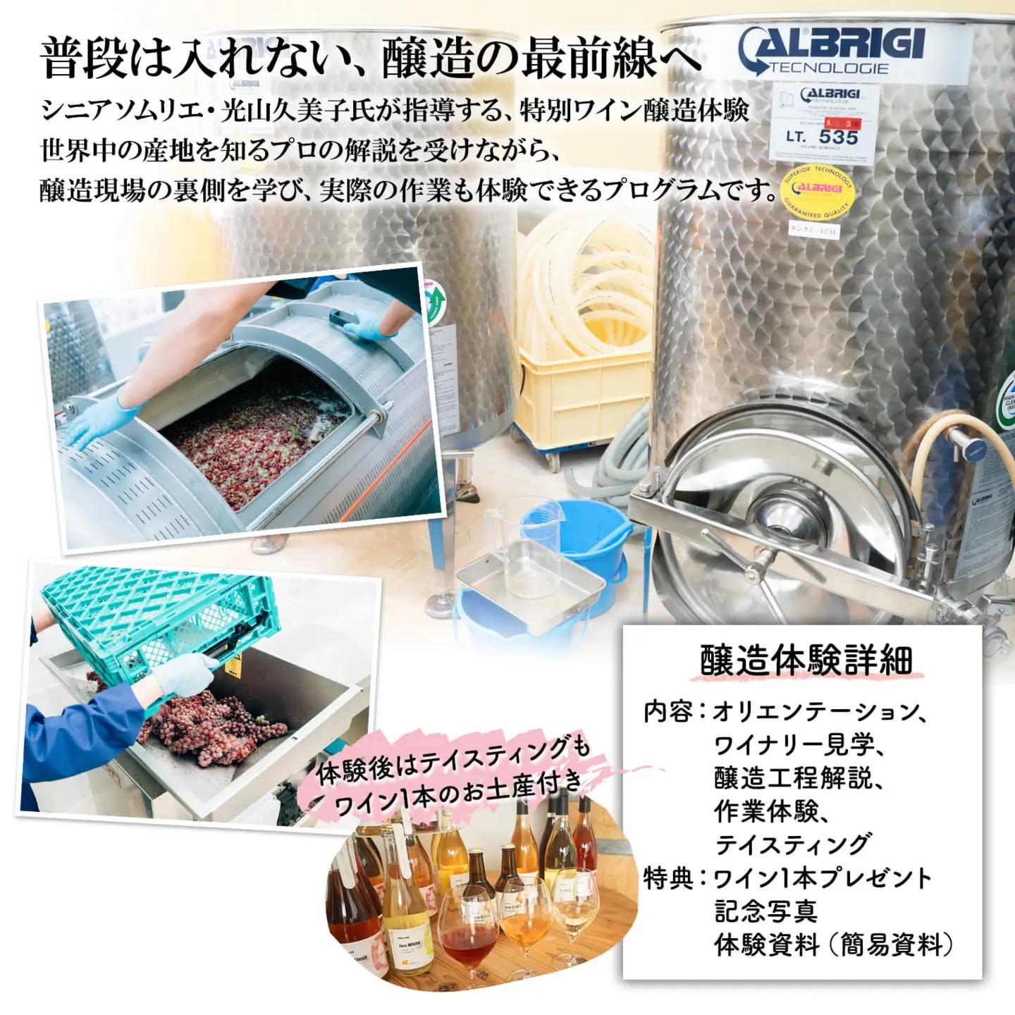 ワイン醸造体験 1名様利用券 ワイン1本付き 酒 お酒 K2711