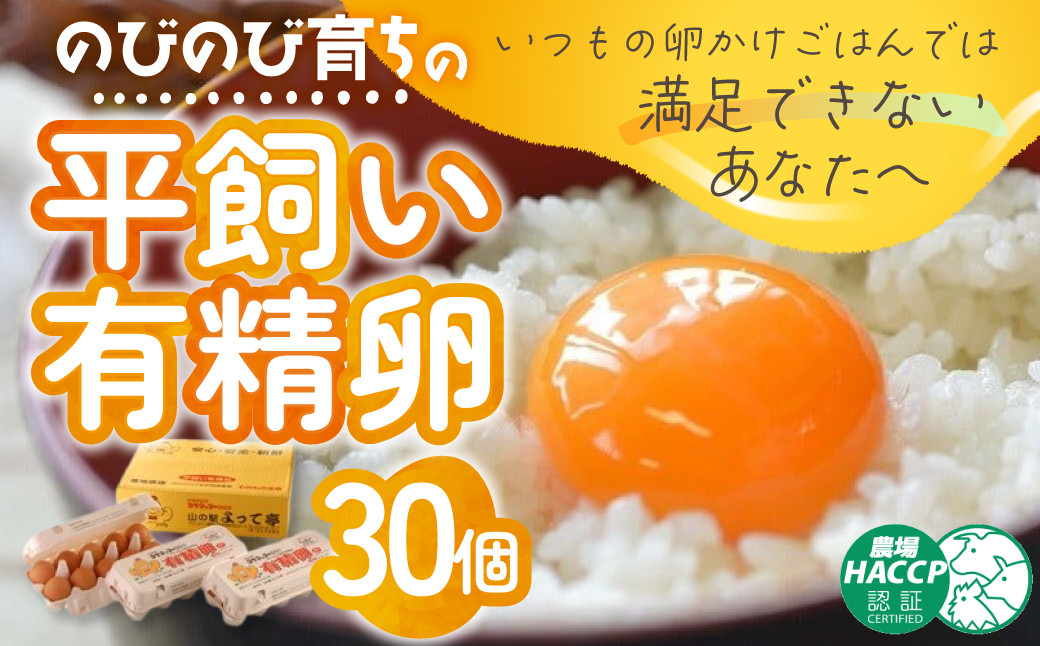
のびのび育ちの平飼い有精卵 30個 （10個入×3P） 平飼い 有精卵 たまご 卵 玉子 タマゴ 鶏卵 オムレツ 卵かけご飯 たまご焼き 国産 すき焼き 三重県 多気町 JK-03
