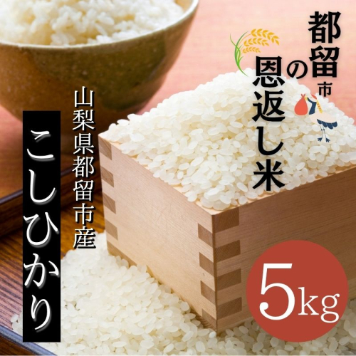 【令和７年産新米】山梨県都留市産こしひかり　都留市の恩返し米5kg｜こめ　米　新米　都留　山梨　コシヒカリ