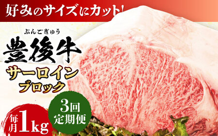 【全3回定期便】【厳選部位】おおいた豊後牛 サーロイン ブロック 1kg / 和牛 和牛 和牛 和牛 和牛 和牛 / 日田市 / 株式会社MEAT PLUS[AREI104]