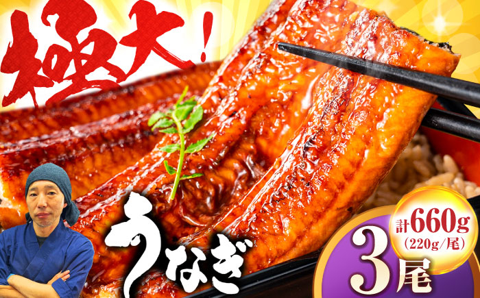 
            特大うなぎ 蒲焼 長焼 660g （1尾220g×3）タレ付き/山椒付き 吉野ヶ里町/株式会社フジマキ [FDM003]
          