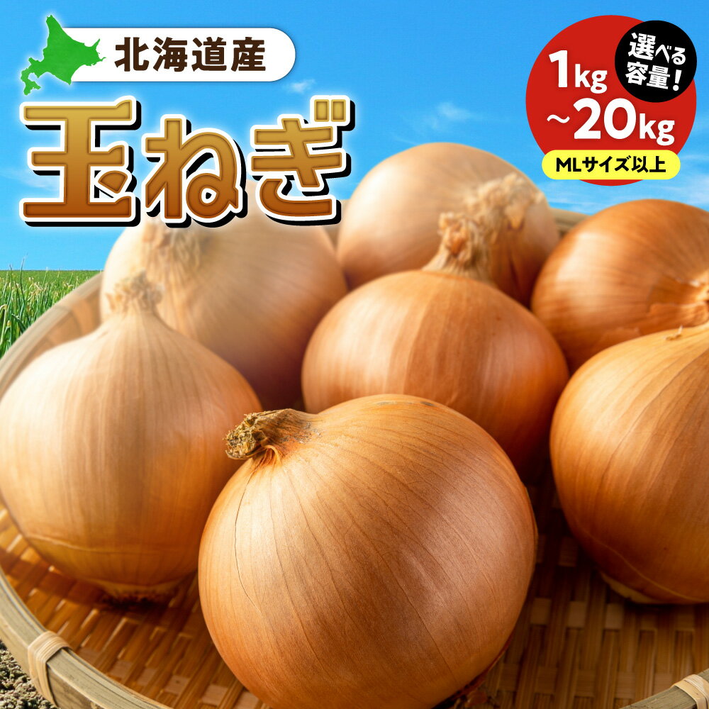 【ふるさと納税】 北海道産 玉ねぎ 【 選べる 容量 】 MLサイズ 1kg 2kg 5kg 10kg 20kg 野菜 玉葱 オニオン たまねぎ 国産 お取り寄せ 北海道 札幌市