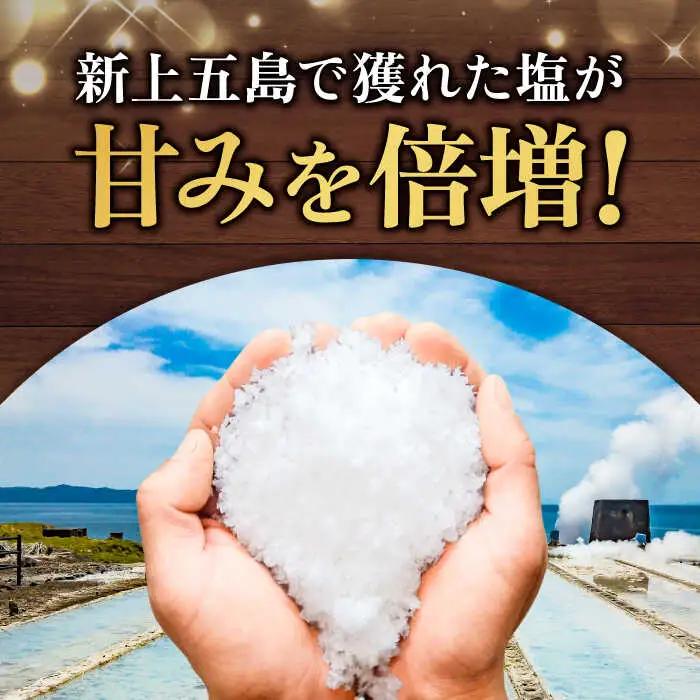 【全3回定期便】チーズケーキ 塩あんのう ケーキ 塩 芋 スイーツ お菓子 菓子[RBA017] チーズケーキ 定期便 チーズケーキ 定期便 チーズケーキ 定期便 チーズケーキ 定期便九州 長崎