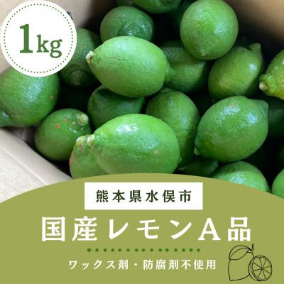 ふるさと納税 水俣市 国産レモン A品1kg(県認証特別栽培)
