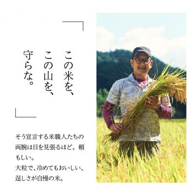 ふるさと納税 下呂市 【令和7年産】【定期便】山仙(いのちの壱)2kg×2袋×6回 すがたらいす【51-T】 |  | 03