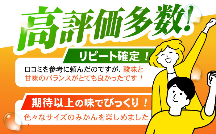 ※【2025年10月発送分／先行予約】《伊木力みかん》家庭用みかん(10kg) / みかん ミカン 蜜柑 フルーツ 果物 / 諫早市 / 山野果樹園 [AHCF001]