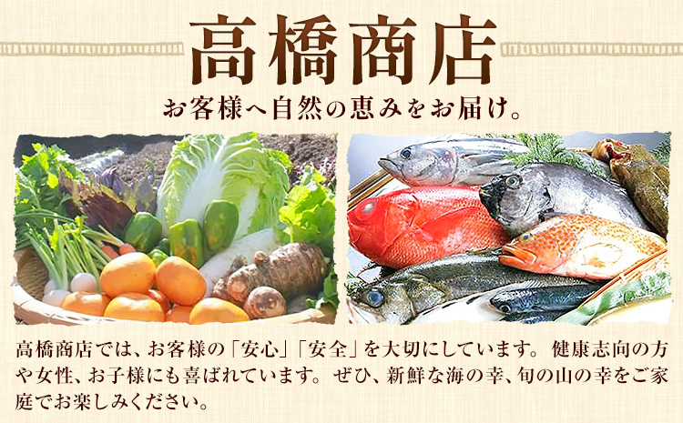 天草産上津深江 スイカ 1玉 髙橋商店 《6月末-8月中旬頃出荷》熊本県 苓北町 フルーツ 果物 くだもの スイカ すいか 西瓜 盆すいか 上津深江スイカ---J06R605-multi---