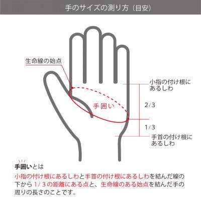 ふるさと納税 東かがわ市 メンズゴルフグローブ　H-ONE GRAPHIC MODEL (ペンキ)22cm |  | 02