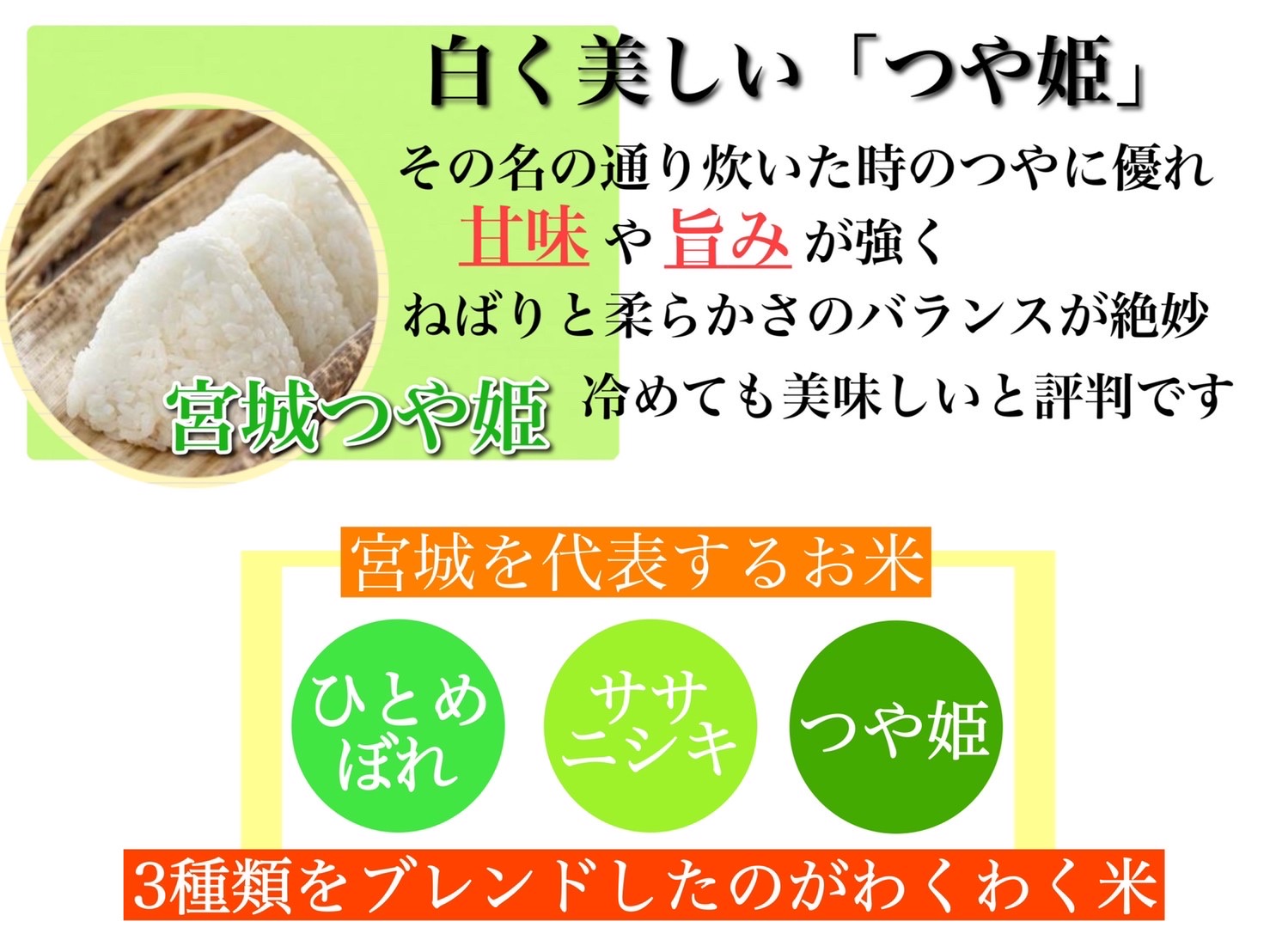 宮城県産 三大銘柄 いいとこ取りブレンド米 わくわく米 5kg×2袋 計10kg / 米 お米 精米 ブレンド米 白米 ご飯 産地直送 【araseki003】