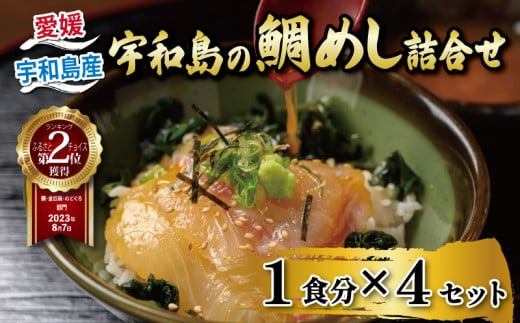 鯛めし 4食 セット 辻水産 生鯛めし 真鯛 鯛 マダイ タイ tai 刺身 お刺身 刺し身 漬け丼 漬け 漬丼 丼 丼ぶり 海鮮丼 郷土料理 鯛飯 海鮮 人気 海の幸 魚介 人気加工品 冷凍 小分け パック お手軽 便利 簡単 調理 乗せるだけ 産地直送 国産 愛媛 宇和島 D012-062001