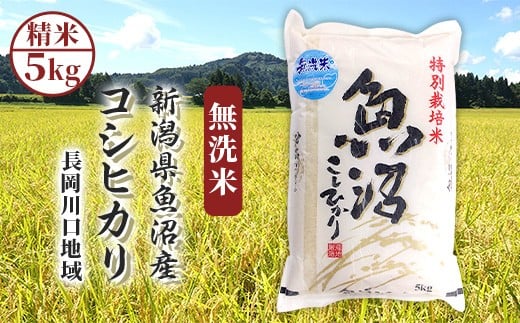 H0-7M051A新潟県魚沼産コシヒカリ（長岡川口地域）無洗米5kg