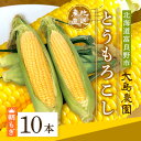 【ふるさと納税】朝もぎとうもろこし　10本　北海道富良野市『大島農園』【配送不可地域：離島】【1261687】