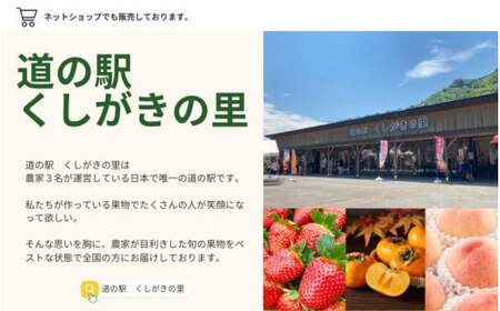 【先行予約】富有柿 2kg～2.5kg 6個入 至高の逸品 約1000個に１個！ 2025年10月下旬～2025年11月下旬頃に順次発送予定（お届け日指定不可）/ 和歌山 柿 かき フルーツ 果物 く