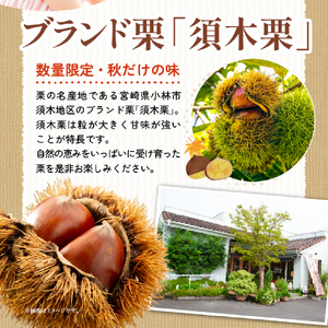 【秋頃から発送】ごろごろ須木栗の贅沢テリーヌ（8個入り） マロン 栗 スイーツ テリーヌ