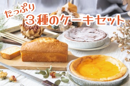 3種ケーキ チーズケーキ ガトーショコラ パウンドケーキ 益子町 AR002