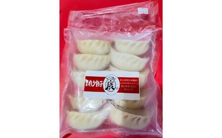 成田の手作り餃子10個セット 加工品 惣菜 冷凍 人気 皮 本格 自慢 モチモチ ジュワー 肉汁 野菜 旨味 中華 