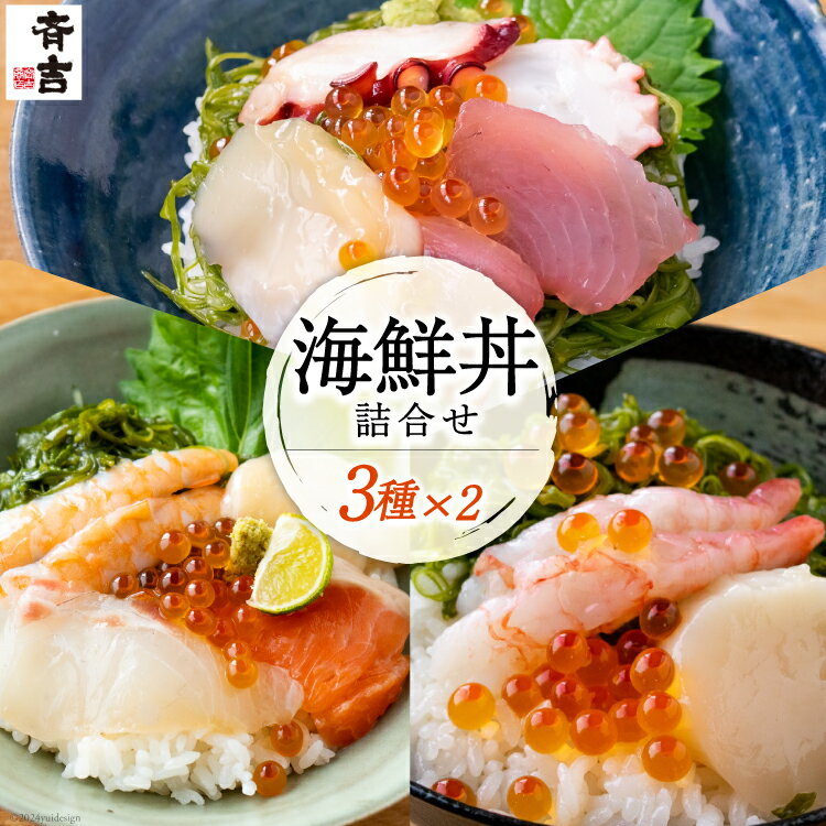 【ふるさと納税】海鮮丼 斉吉海鮮丼 3種 各2袋 計6袋 [斉吉商店 宮城県 気仙沼市 20564949] 海鮮 丼 丼ぶり どんぶり 甘エビ 甘海老 えび エビ 鯛 タイ サーモン めかぶ いくら 帆立 魚介 魚介類 魚 三陸 感想