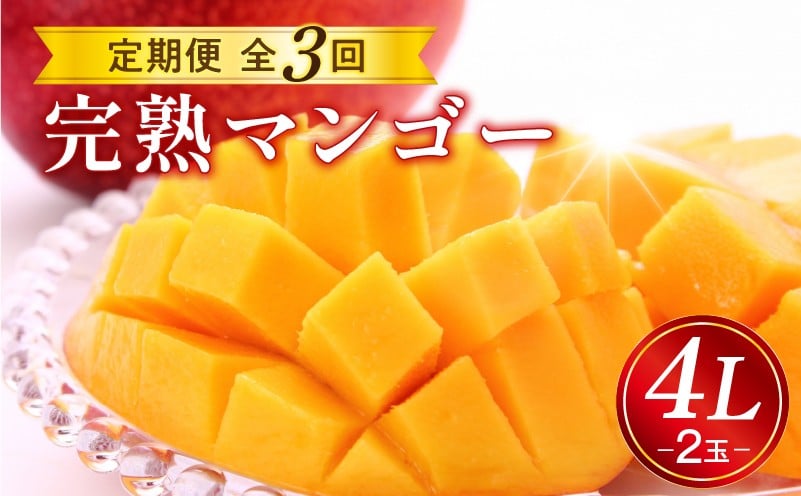 
            《2026年発送先行予約》【数量・期間限定】完熟マンゴー4L2玉定期便　全3回_M153-T035
          