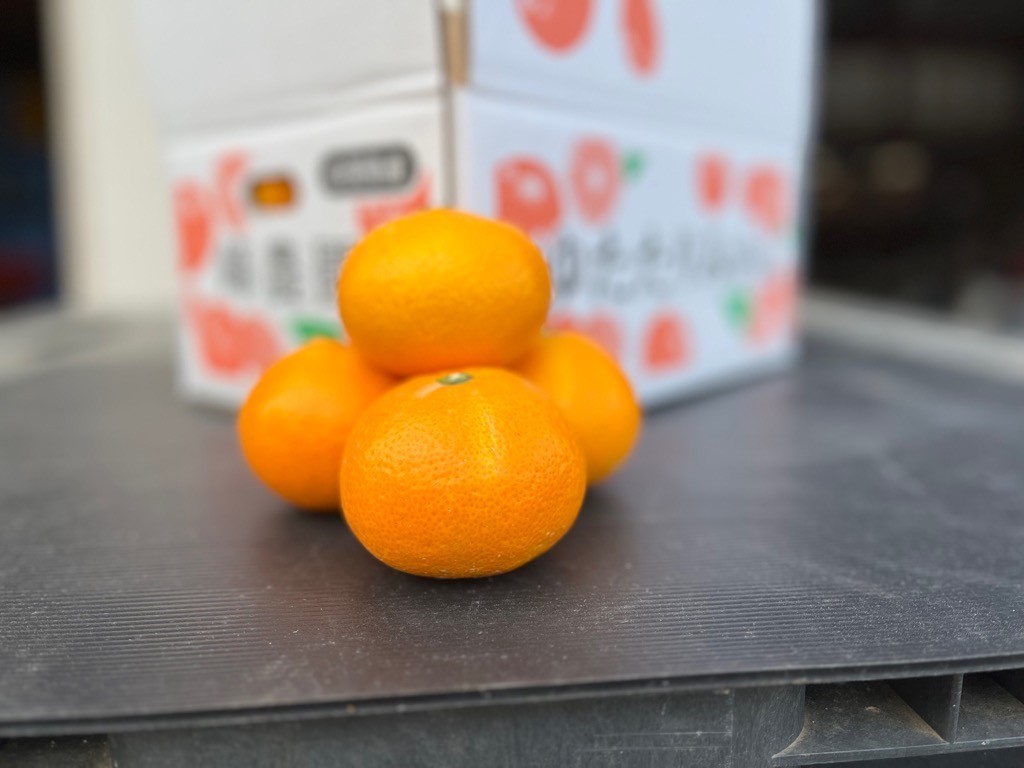 峰農園のゆたたりみかん【石地みかん】5kg 
