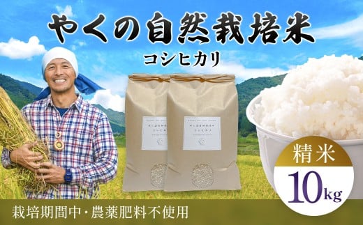 令和8年産先行予約 やくの自然栽培米 コシヒカリ精米　（白米） 10kg  / 自然栽培米 自然栽培 こめ コメ 米 白米 精米 コシヒカリ こしひかり お米 ごはん やくの 夜久野 京都府 福知山市 FCEV008