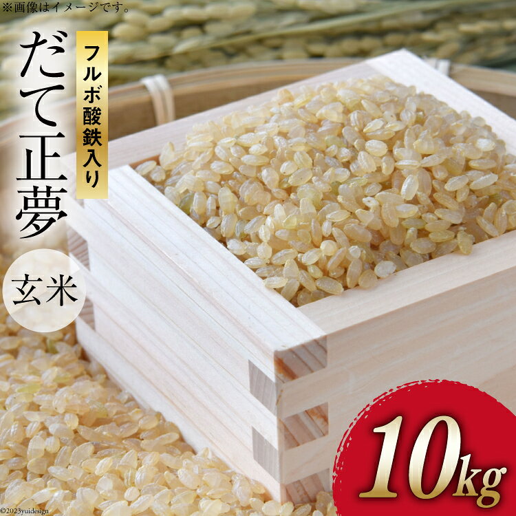 【ふるさと納税】令和7年産 玄米 フルボ酸鉄入り米 だて正夢 10kg [中嶋アグリ未来 宮城県 加美町] ブランド米 ご飯 ごはん コメ こめ 家庭用 宮城