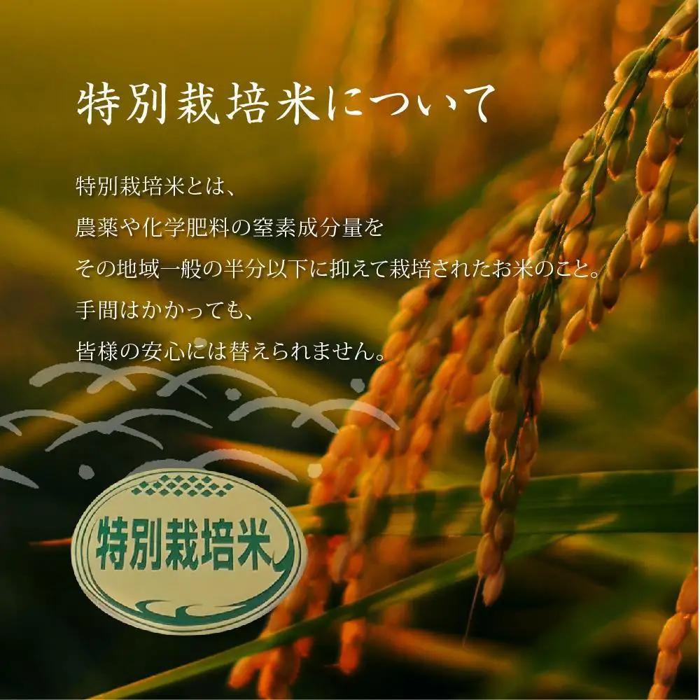 特別栽培米　稜線の風（ひとめぼれ）玄米 30kg | 米 長野 信州