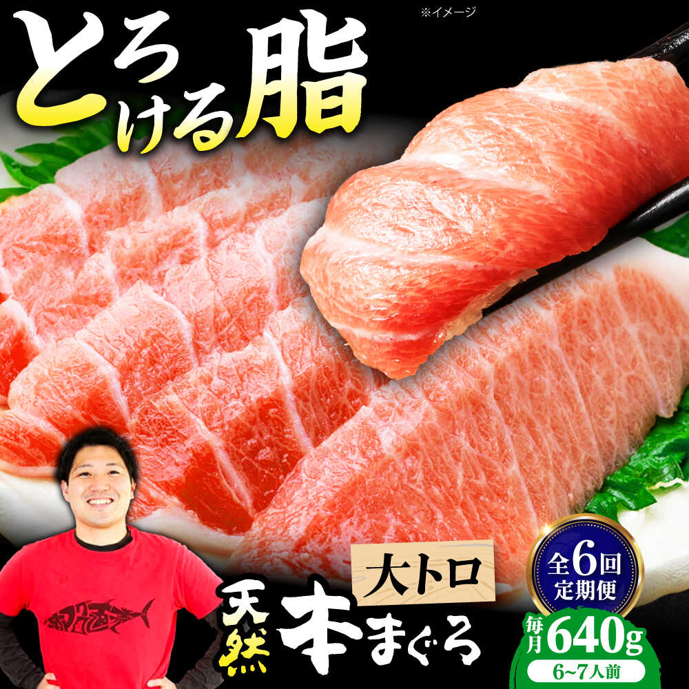 【ふるさと納税】【全6回定期便】極上！たね熟天然本まぐろ大トロ(640g) 天然 マグロ 鮪 大トロ 刺身 魚 魚介 大阪府高槻市/本まぐろ直売所[AOCE026]