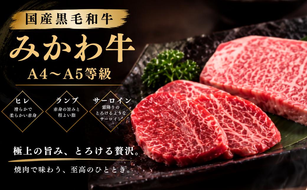 【みかわ牛】肉屋 厳選 極上部位 6種 660ｇ