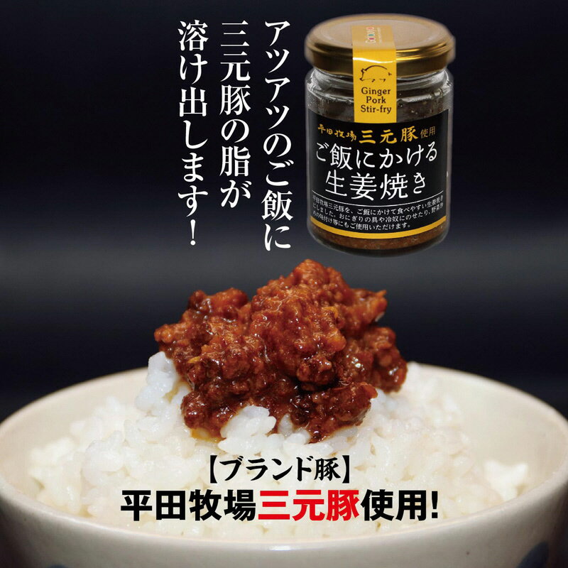 【ふるさと納税】平田牧場三元豚使用 ご飯にかける生姜焼き 80g×1個 ※着日指定不可
