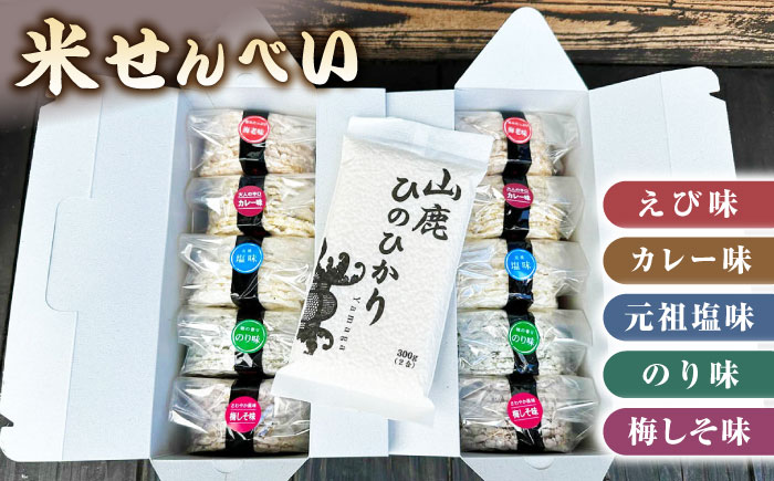 【3回定期便】【おつまみにも♪】米せんべい（えび味、カレー味、元祖塩味、のり味、梅しそ味）& ヒノヒカリ【せんべい工房】 [ZBQ014]