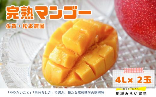 
            【先行予約】＼4Lサイズを2玉お届け／佐賀産・濃厚完熟マンゴー（5月中旬頃から6月初旬にかけて順次発送予定）
          