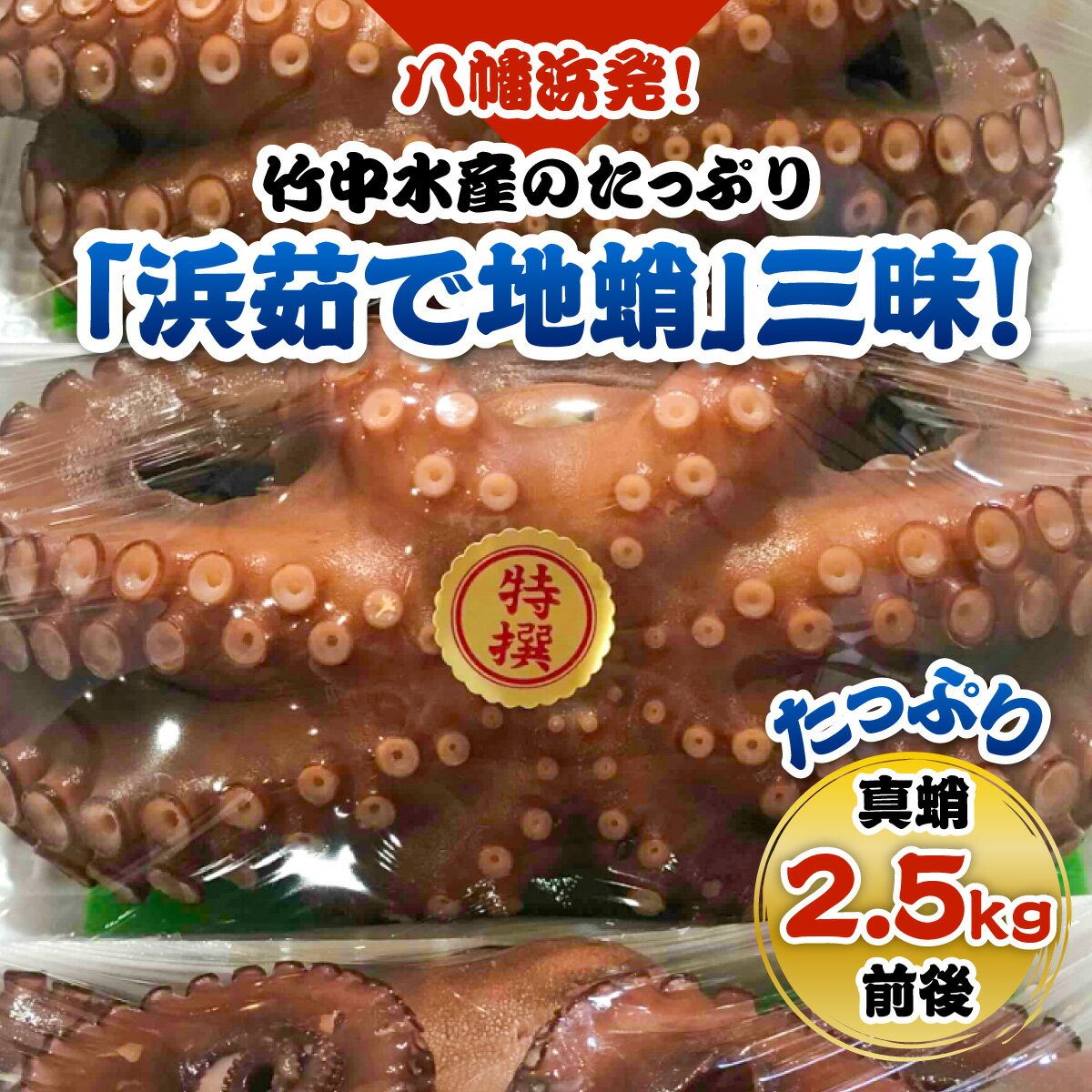 【ふるさと納税】八幡浜発!竹中水産のたっぷり「浜茹で地蛸」三昧!たっぷり2.5kg前後【H22-190】_ たこ タコ 蛸 海鮮 魚介 刺身 八幡浜 送料無料 【配送不可地域：離島】【1043153】YWTM017