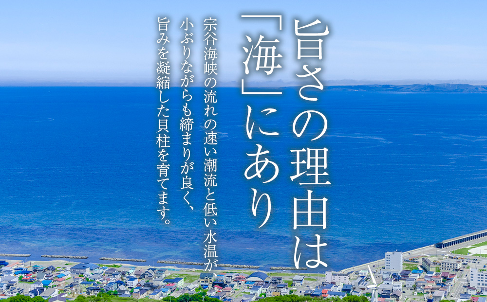 冷凍ほたて貝柱中小サイズ1kg １個【配送不可地域：離島・沖縄県】