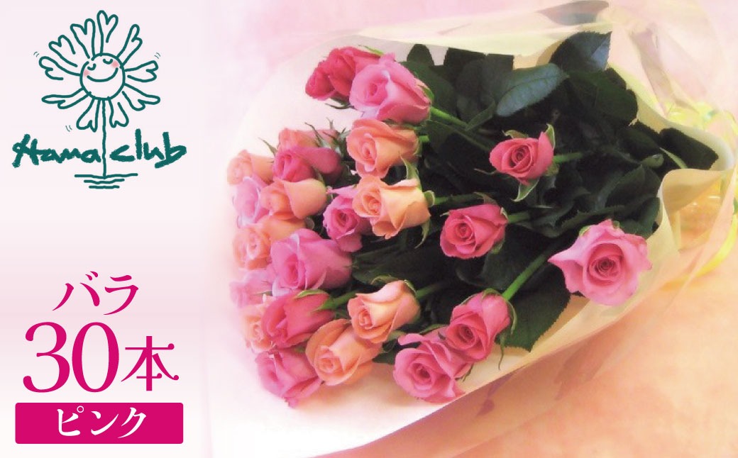 【ラッピング付】生花 ピンク バラの花束 30本 日付指定可能 薔薇 ローズ ギフト プレゼント ラッピング インテリア お花 フラワー H193-010