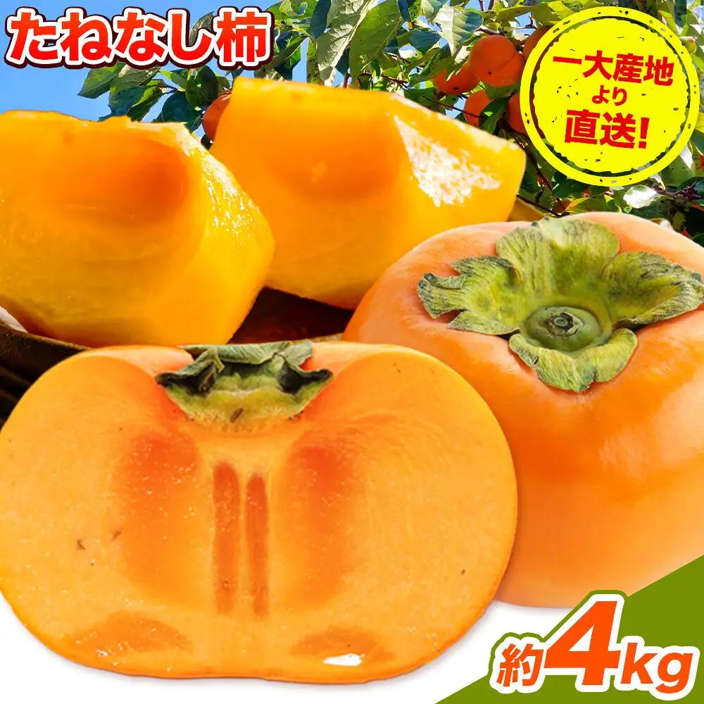 柿 たねなし柿 約4kg