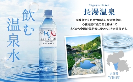 硬水ミネラルウォーター 「マグナ1800」 2L×6本 計12L