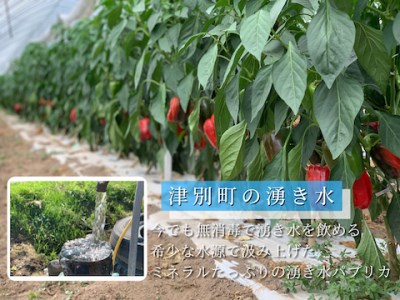 【R8年産】 湧水栽培 ナツやさいのパプリカ 12玉～15玉セット ピンクの八百屋 ナツやさい  | パプリカ 赤 黄 肉厚 サラダ 炒め物 スープ 肉詰め 煮浸し パエリア 旬 産地直送 北海道 津