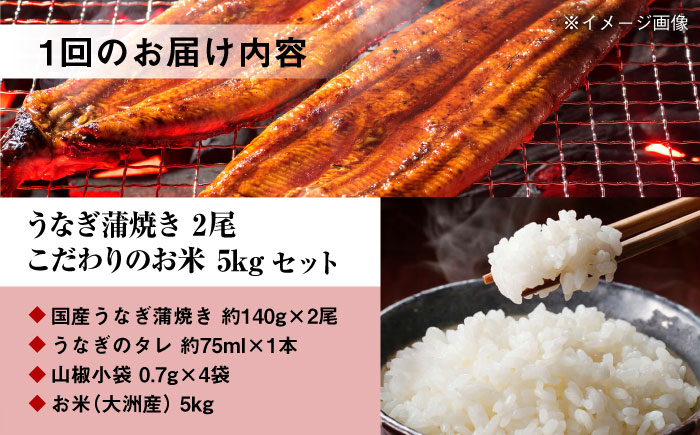 【全3回定期便】国産うなぎ！秘伝のタレで焼き上げた「うなぎ蒲焼き 2尾」と地元生産者こだわりの「お米 5kg」セット　愛媛県大洲市/有限会社 樽井旅館 [AGAH008]鰻 うな重 ひつまぶし 土用の