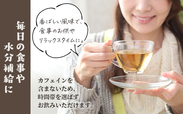 ＜ごぼう茶 45g(1.5g×30包)＞簡単 ティーバッグごぼう茶 国産ごぼう使用 ホット 熱い 水出し アイス ノンカフェイン 香ばしい風味 飲みやすい味わい 素材本来の味 毎日の食事や水分補給に 