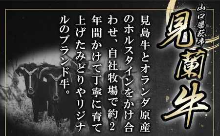 見蘭牛ビーフカレー（5人前）