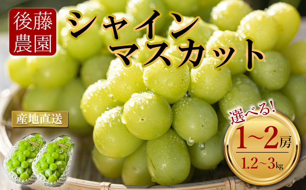 
            【予約】「後藤農園」シャインマスカット 1～2房(1.2～3kg)  希少  ぶどう 新鮮 期間限定 皮ごと ブドウお取り寄せ　熊本県　阿蘇市
          