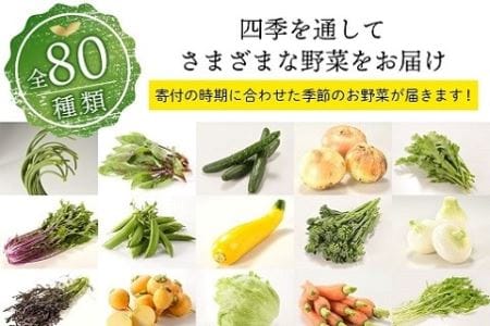 「お好きな時にいつでもお届け」旬のお野菜定期便【全6回】（53-32）