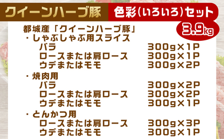 「クイーンハーブ豚」色彩(いろいろ)3.9kgセット_AD-2903_(都城市) 豚肉を堪能 小分け 一人暮らし カット×部位が8種類楽しめる 食べ比べ しゃぶしゃぶ/焼肉/とんかつ用 ロース肉/ウデ