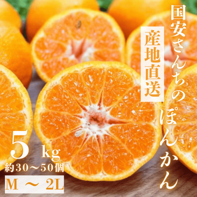 
            ＜南国を感じさせる独特の香り＞愛媛ポンカン 5kg＜D20-53＞【1595883】
          